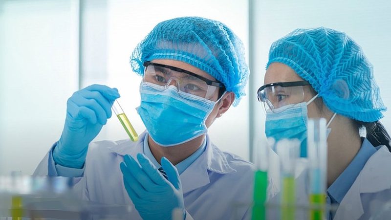 空心胶囊价格波动背后的行业逻辑