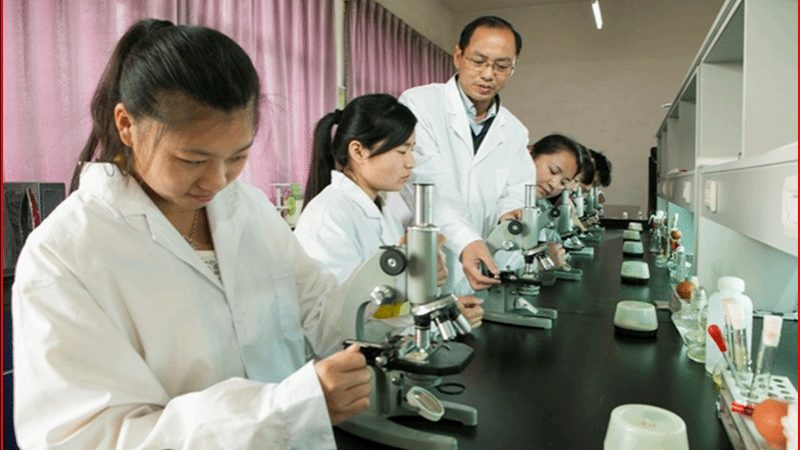 医药流通GSP认证哪家好