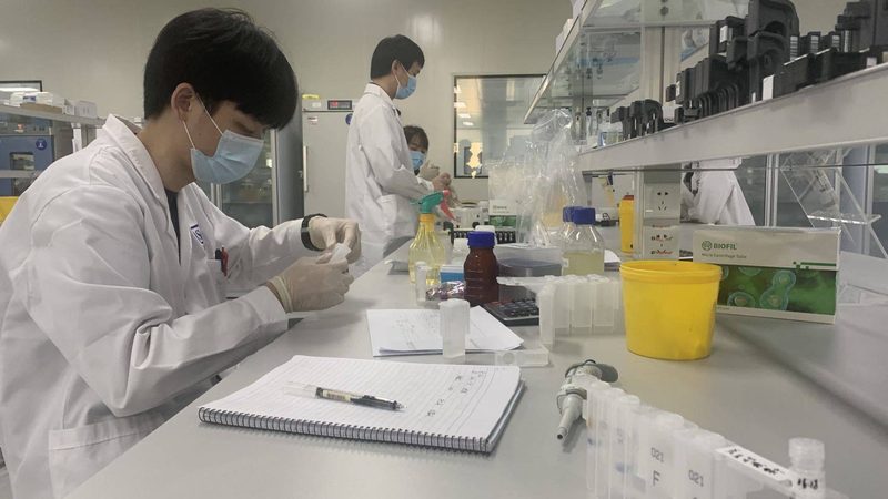 药品代理新手入门：从了解流程开始