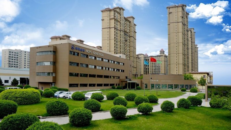中药饮片定制加工：价格之外，还需关注哪些要素**